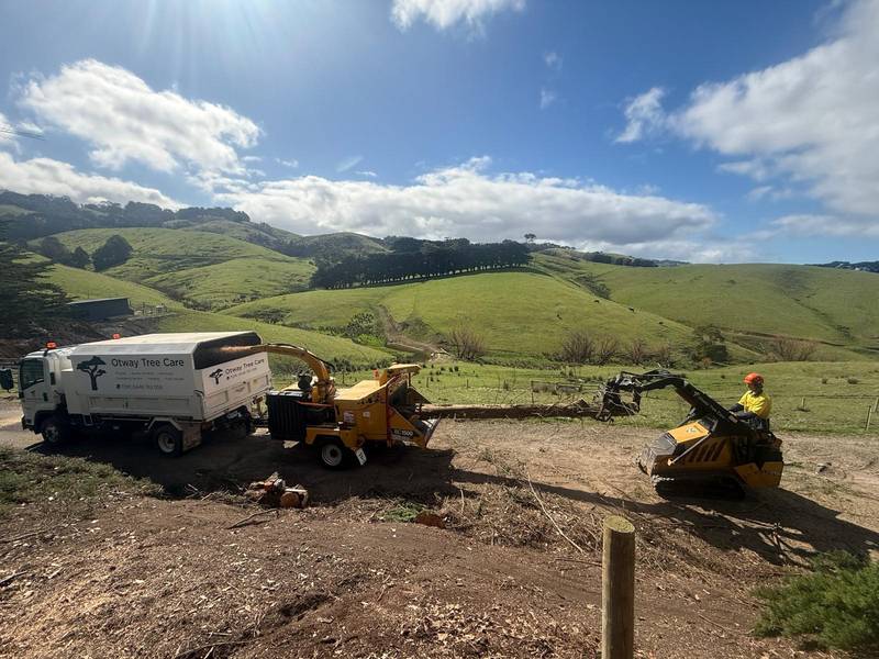 Otway Tree Care crew feeding cypress branches into a chipper beside the company truck, with green hills behind