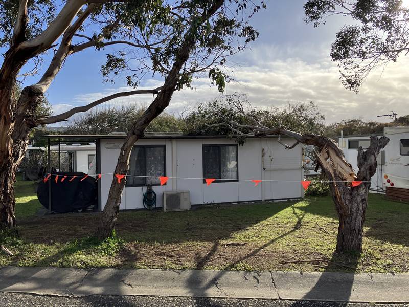 A fallen tree across the roof of a small unit, with the area taped off