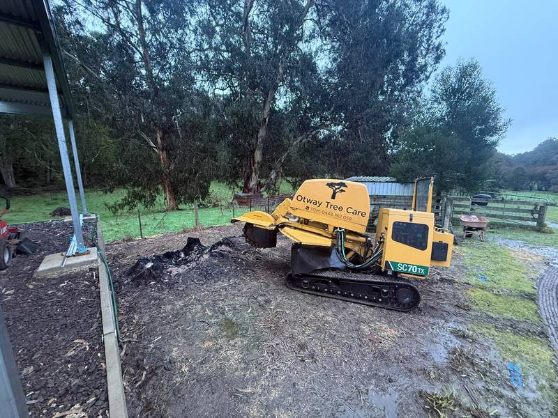 The stump grinder working the burnt stump down below ground level